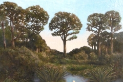 canards site