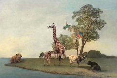 ours,giraffe vaches and birds