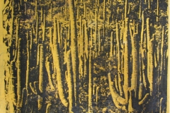 Silkscreens12
