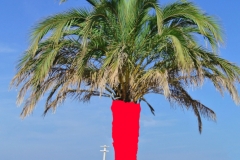 UNUSUAL-pics14